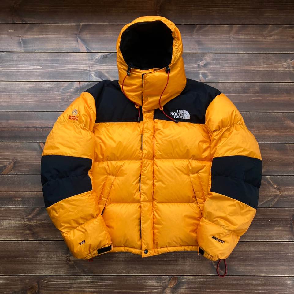 The north face wind stoper 700 goose down 95 (loose 100)